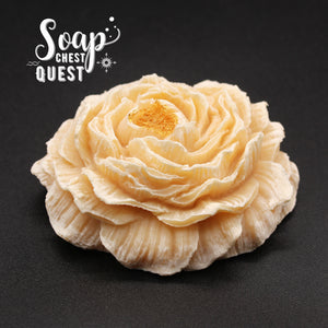 Peony Bloom