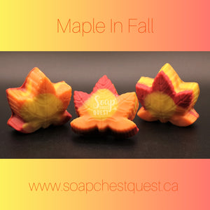 Maple In Fall